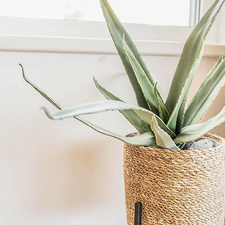 28 Alpe Maritima - Gerlitzen Gipfelstuermer أنينهايم