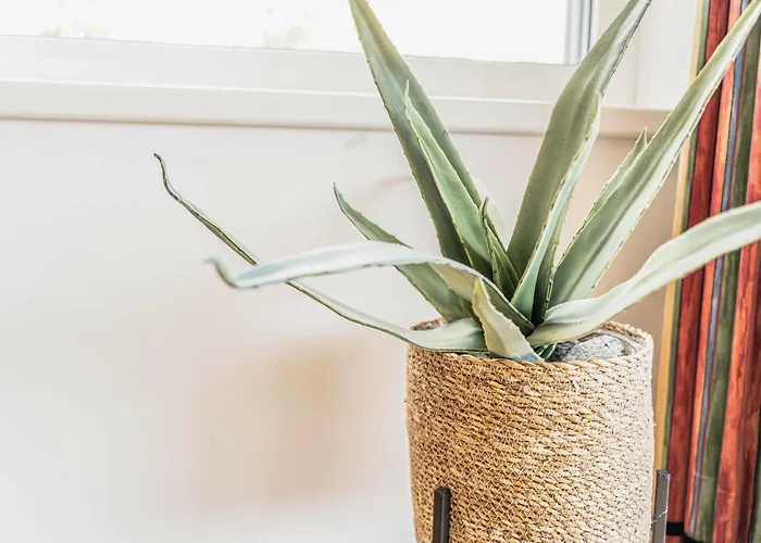 28 Alpe Maritima - Gerlitzen Gipfelstuermer Annenheim